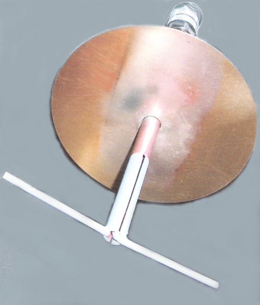 OAL dish feed