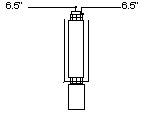 rocket ant feed